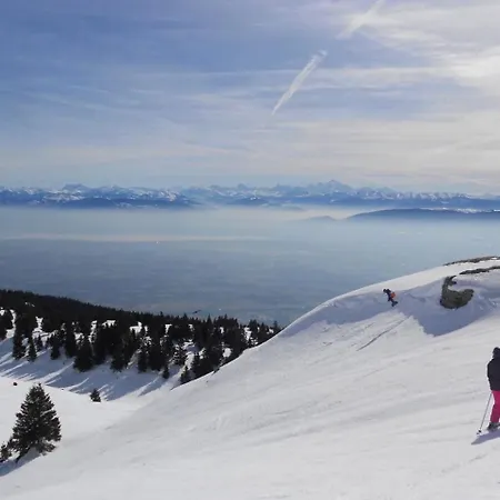 Cocon Des Bois - Gex Geneve Διαμέρισμα Mijoux