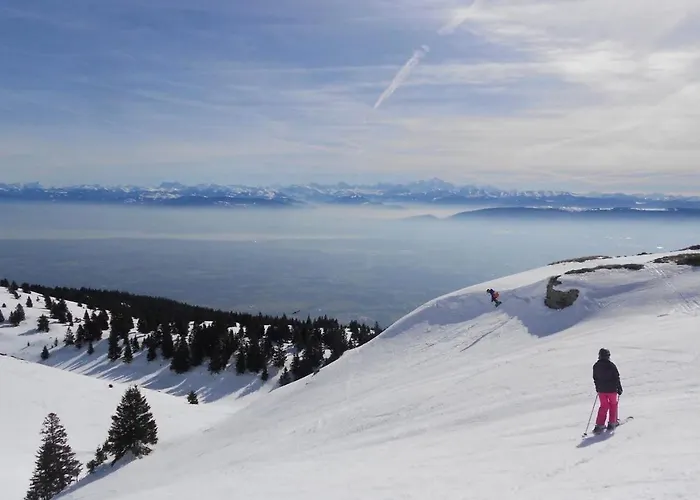 Cocon Des Bois - Gex Geneve Διαμέρισμα Mijoux
